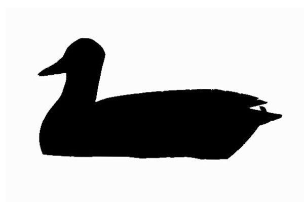 600x400 California Naturemapping