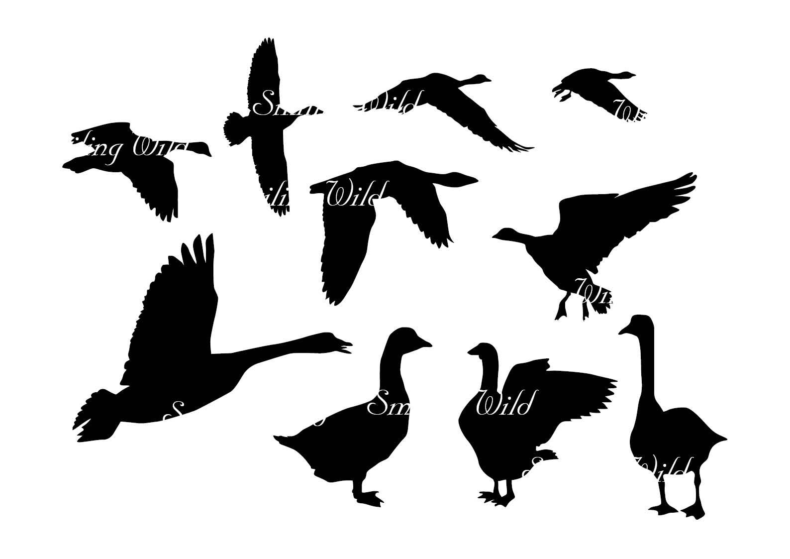 1588x1123 Goose Svg Geese Silhouette Clipart Cutout Printable Waterfowl