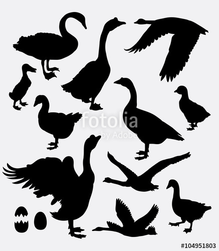437x500 Duck, Swan, Goose, Poultry Activity Silhouette. Good Use For Game