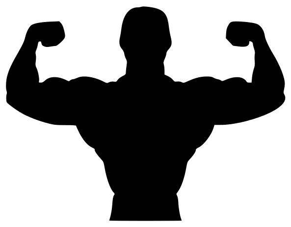 593x464 Fitness Biceps Silhouette