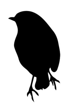236x361 Silhouette Of Bluebird Black Silhouette