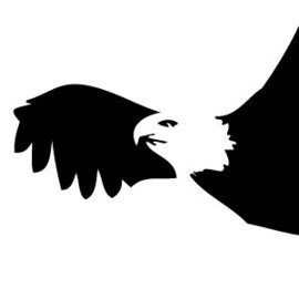 270x270 Bald Eagle Silhouette