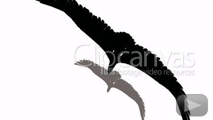 420x236 Eagle Flying Silhouette Stock Footage