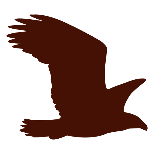 512x512 Eagle Flying Silhouette