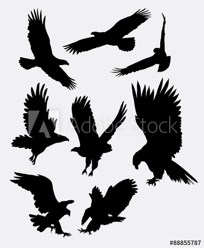 410x500 Eagle Flying Silhouettes