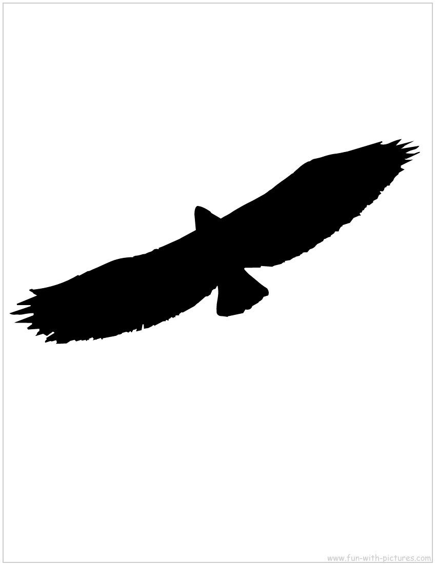 850x1100 Flying Eagle Silhouette National Forest Vbs Eagle