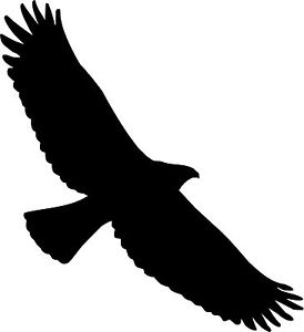 274x300 Eagle Clipart Silhouette