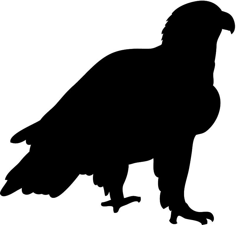 800x763 Black Eagle Clipart Silhouette
