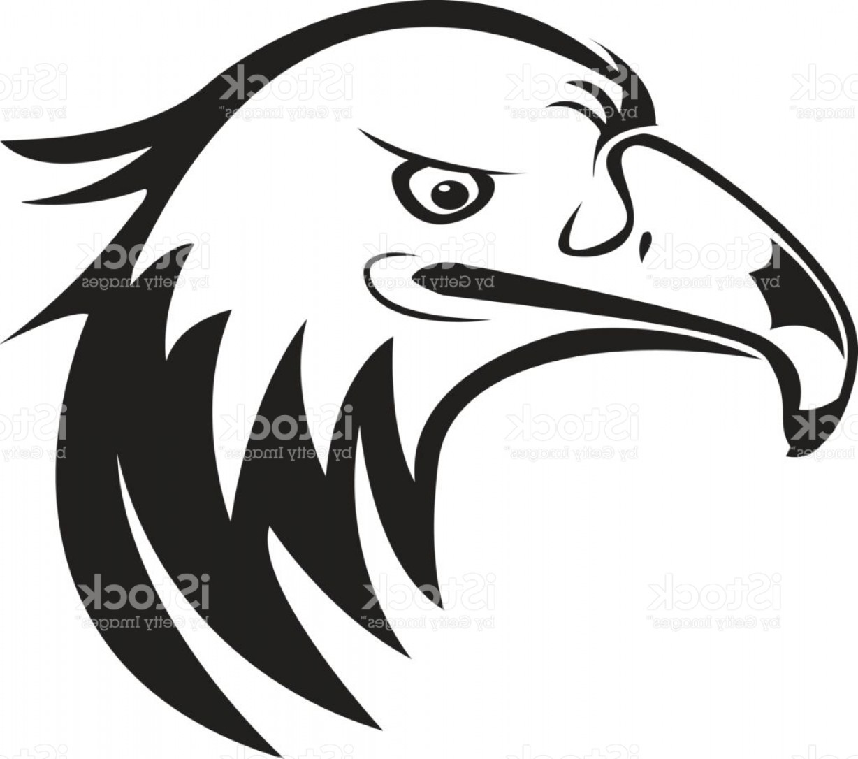1228x1086 Eagles Head Silhouette Vector Arenawp