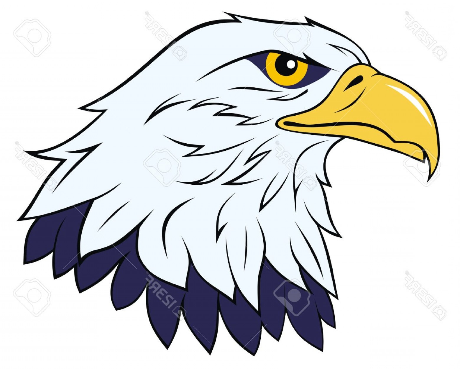 1560x1251 Photocolor Vector Illustration Of Eagle Head Arenawp
