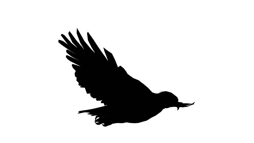 852x480 Flying Eagle 2. Hand Drawn Animation Flying Eagle In The Sky