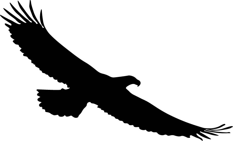 795x482 Eagle Silhouette By Roquez1