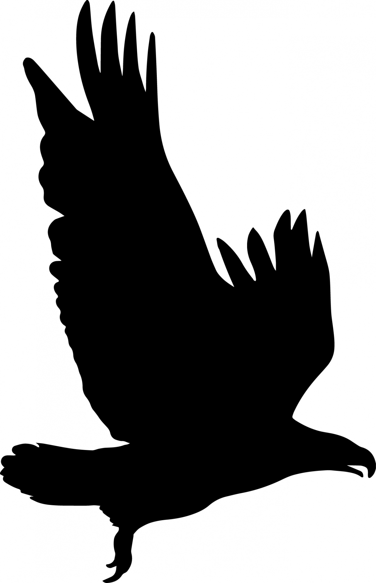 1237x1920 Eagle Silhouette Free Stock Photo