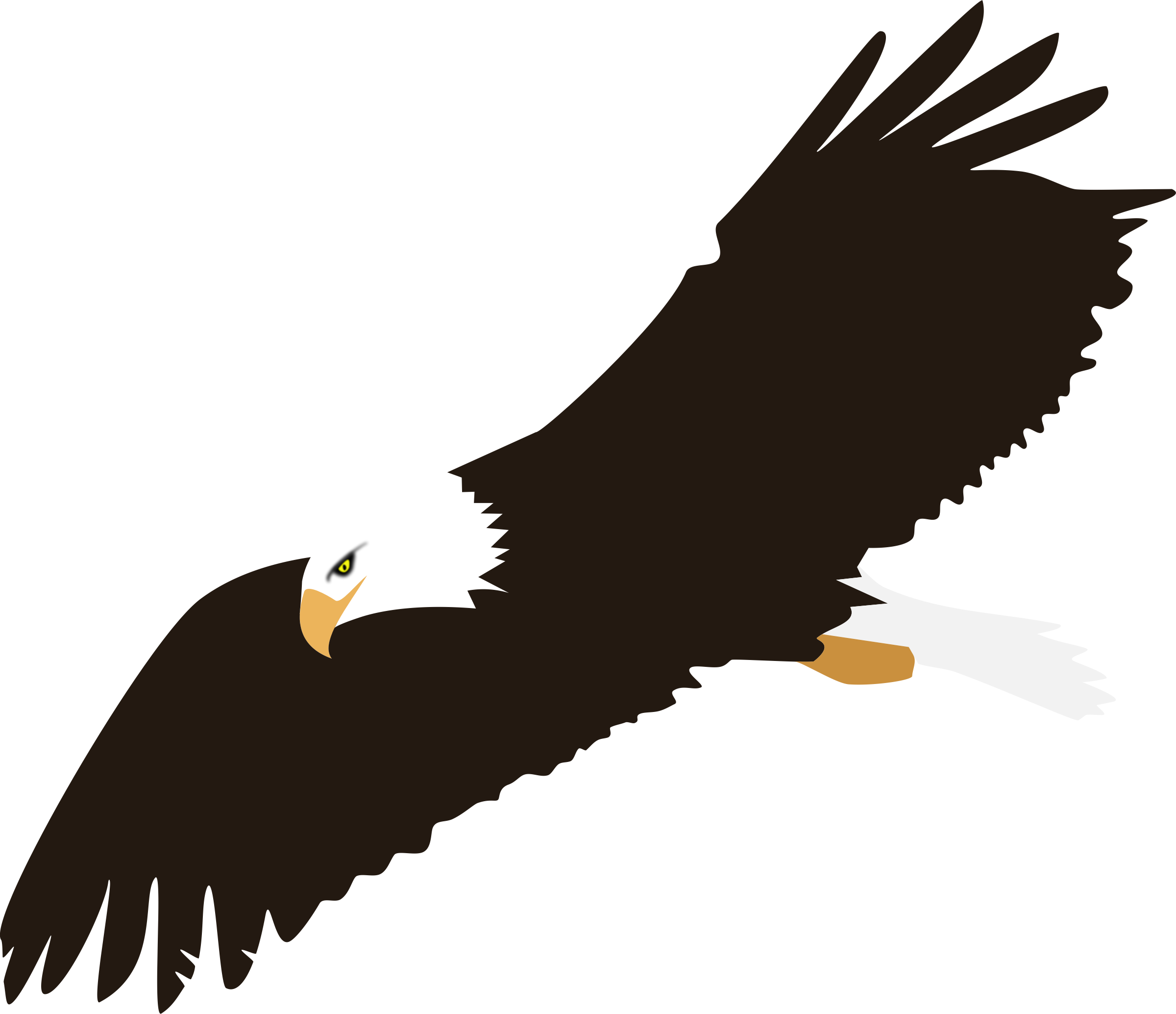 2400x2068 Soaring Bald Eagle Vector Clipart Image