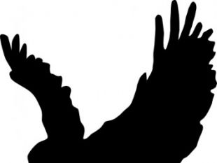 310x233 Eagle Vector Graphics Clip Art Free Vectors Ui Download