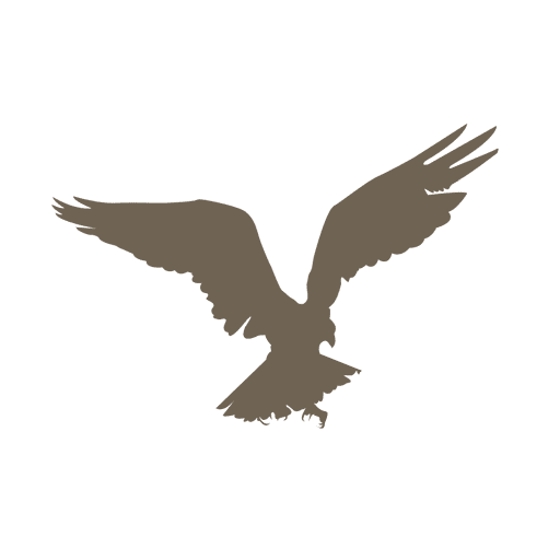 512x512 Flying Eagle Silhouette