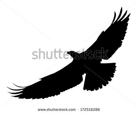 450x369 Vector Silhouette Of The Bird Of Prey (Osprey) In Flight