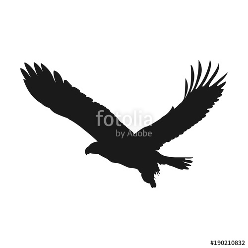 500x500 Flying Eagle Vector Illustration Black Silhouette Stock Image