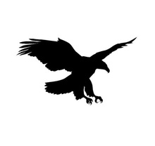 220x208 Buy Eagle Silhouette And Get Free Shipping