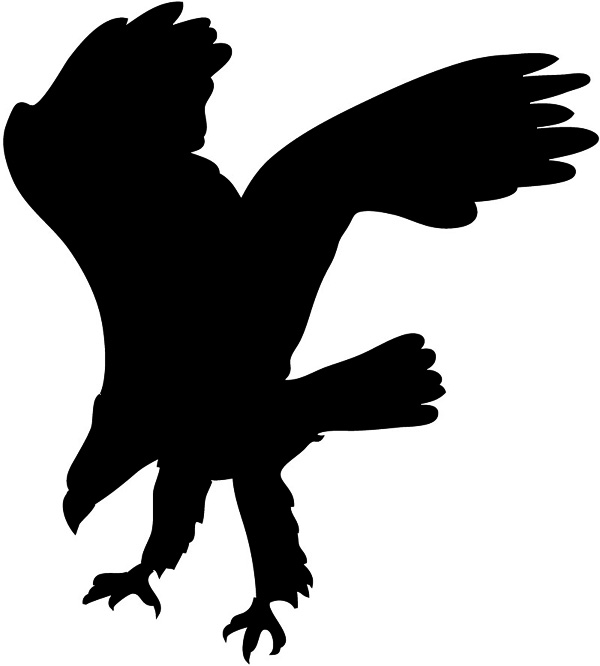 600x666 Golden Eagle Clipart Flight Silhouette