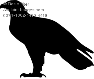 300x252 Eagle Silhouette Clipart Amp Stock Photography Acclaim Images