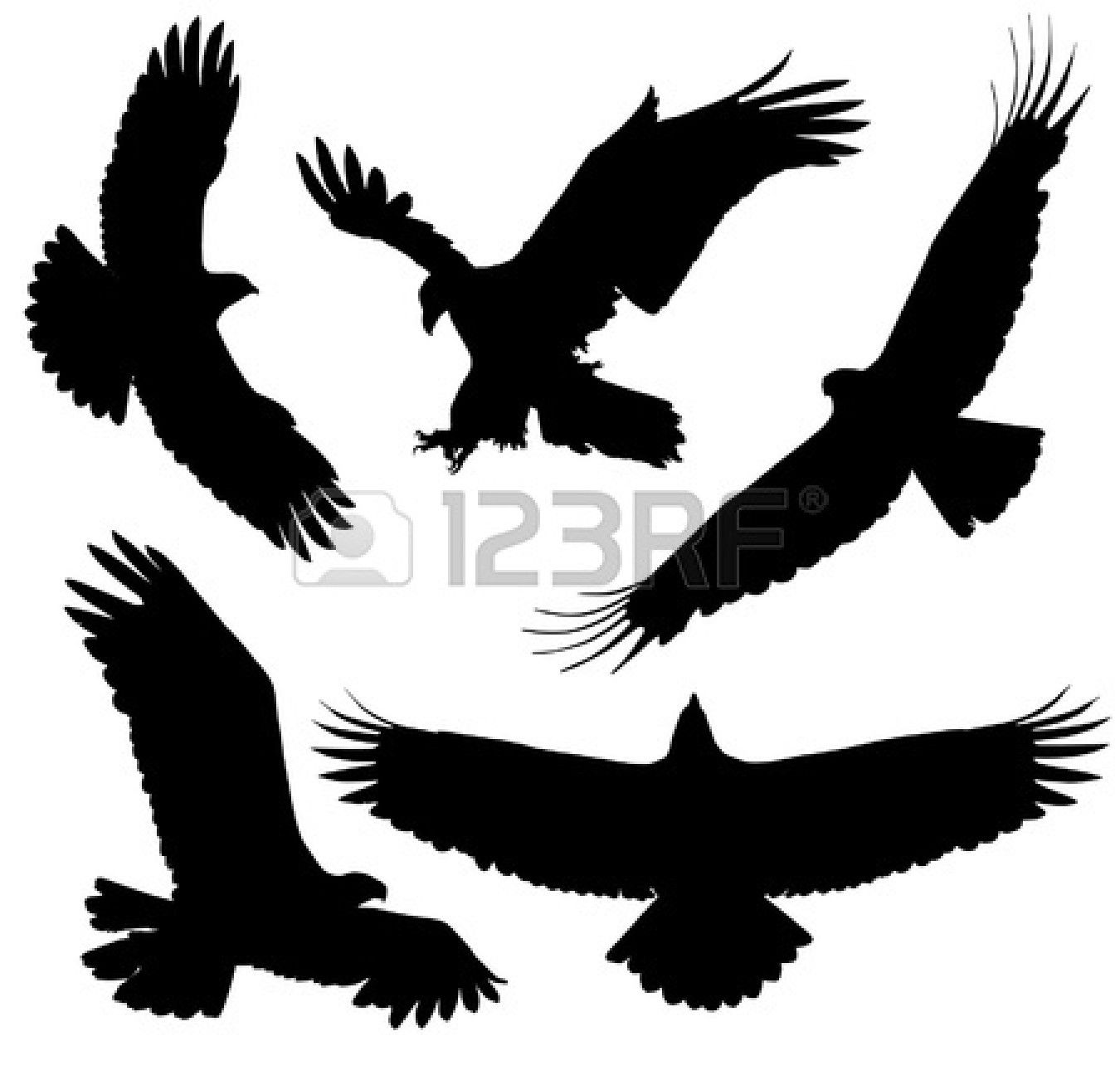 1350x1296 Eagle Silhouette On White Background Vector Art For The Body
