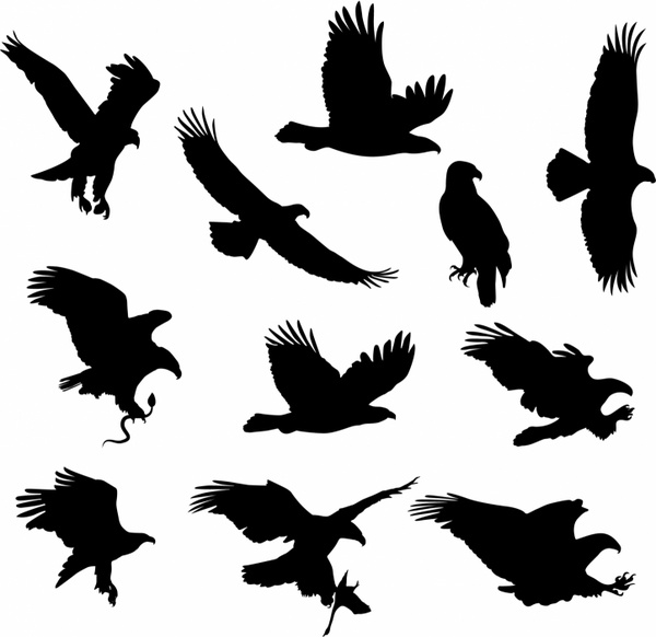 600x582 Eagles Free Vector In Adobe Illustrator Ai ( Ai ) Format For Free