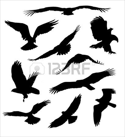 410x450 Bird Of Prey Stock Vector Silhouette