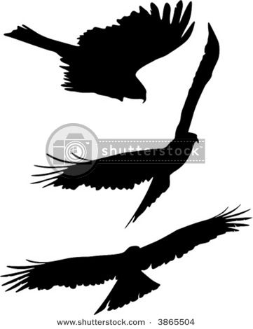 361x470 20 Best Eagles Images On Eagle Cartoon, Eagles