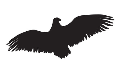 405x240 Search Photos Eagle Vector