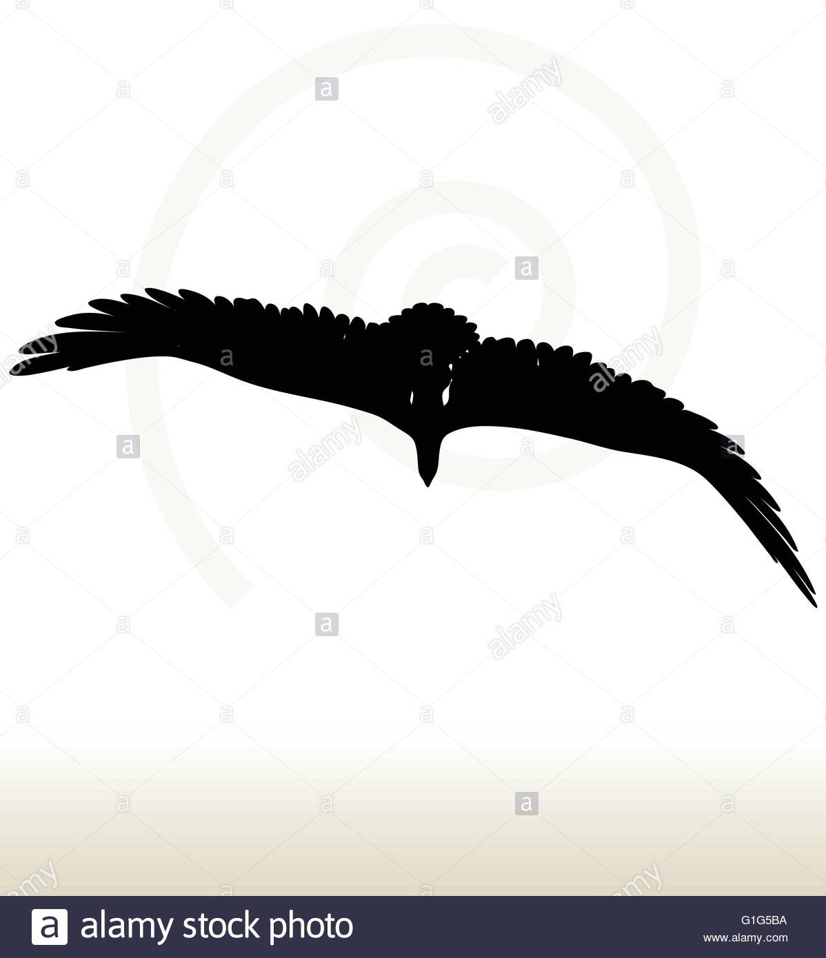 1198x1390 Illustration Of Eagle Silhouette Isolated On White Background