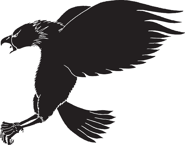 640x500 Silhouette, Eagle, Bird, Wings, Animal, Landing