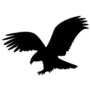 300x300 Drawn Bald Eagle Silhouette