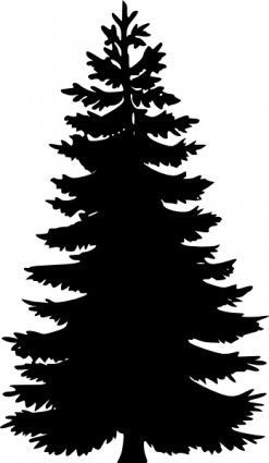 247x425 9 Best Evergreen Trees Images On Pine Tree Silhouette