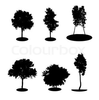 317x320 Black And White Oak Tree With Leaves. Drawn With Illustrator'S