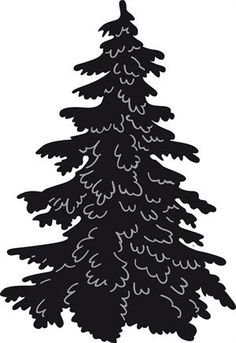 236x343 Cedar Tree Silhouette