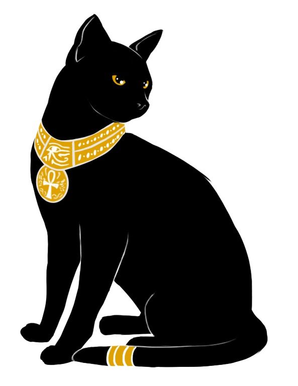 593x768 Egyptian Black Headed Cat