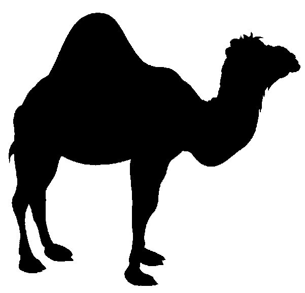 601x577 Egyptian Clipart Camel