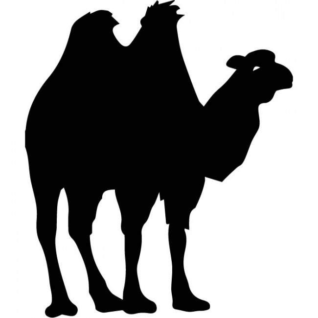 650x650 Camel Wall Sticker Wild Animals Wall Decal Egyptian Home Decor