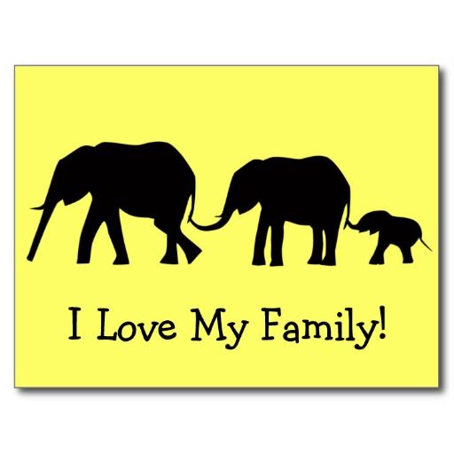 512x512 21 Best Elephants Images On Elephants, Elephant Family