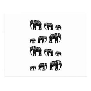 307x307 Black White Elephant Silhouette Postcards Zazzle