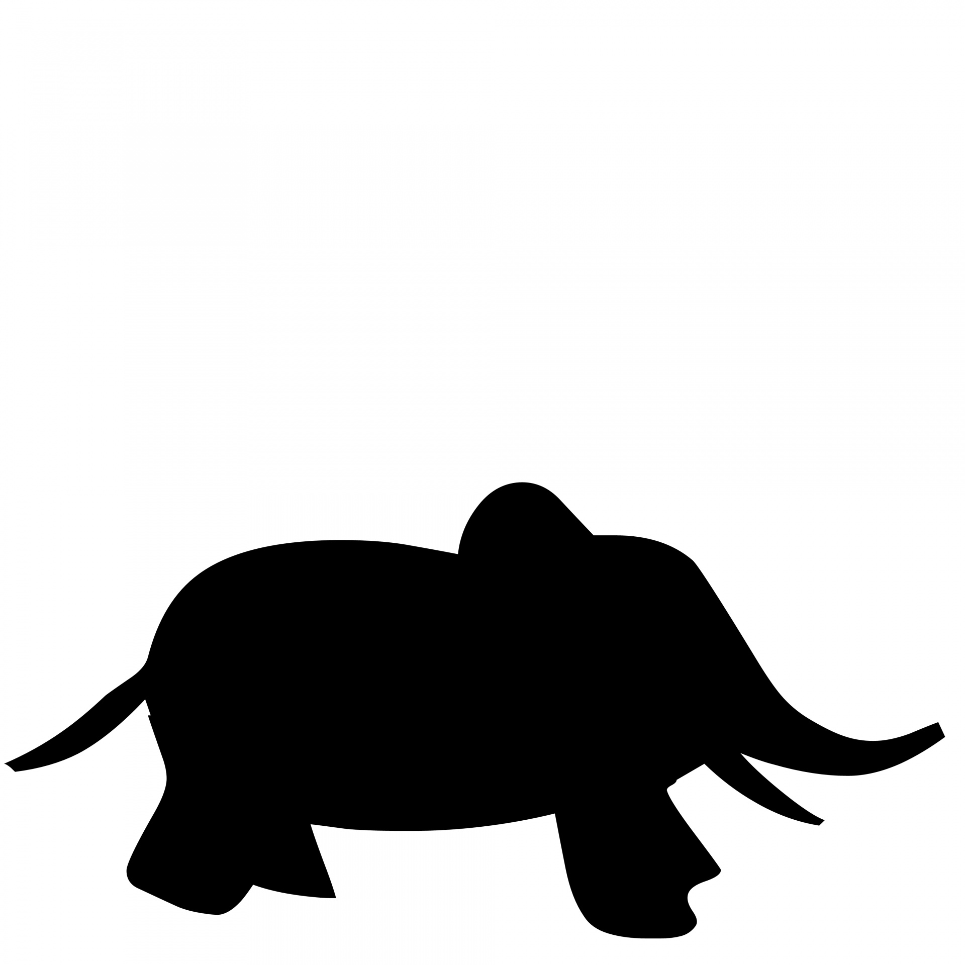 1920x1920 Baby Elephant Free Stock Photo