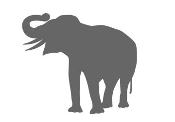 360x250 Animal Stencil Shapes