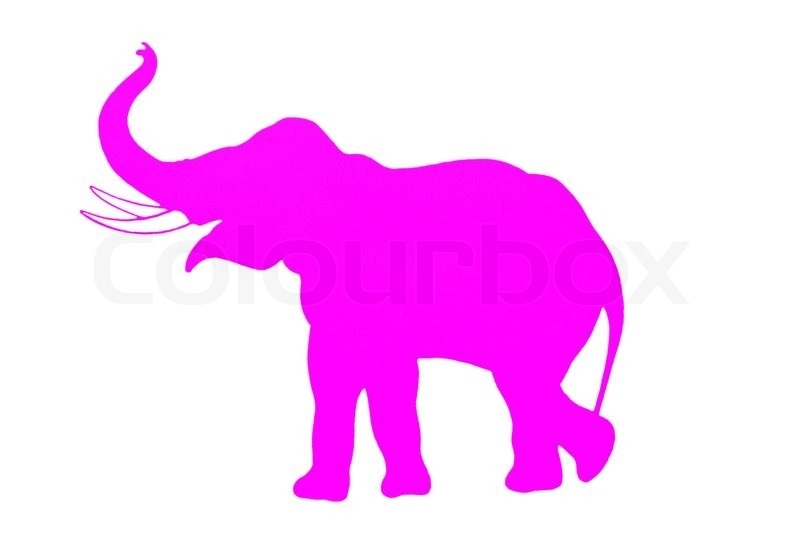 800x533 Elephant Clipart Outline Trunk Up