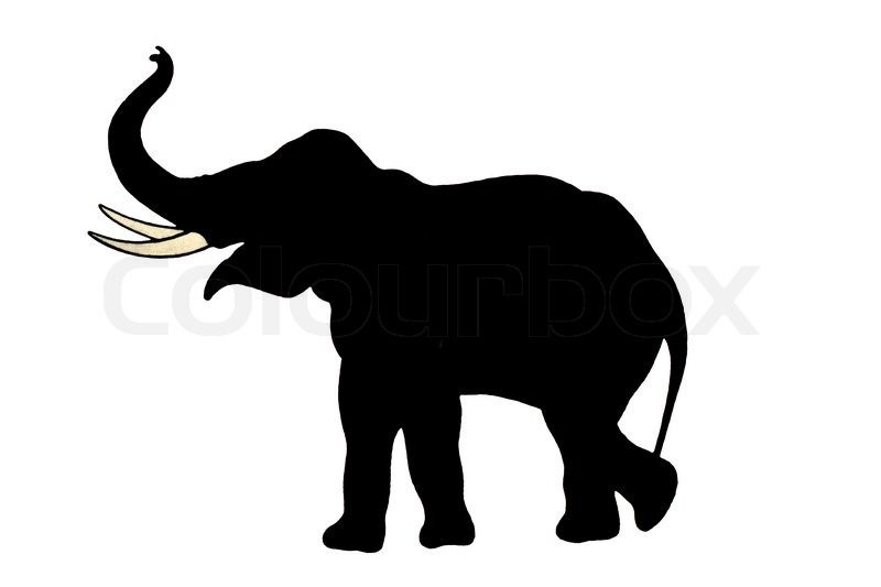 800x533 Elephant Head Silhouette Trunk Up