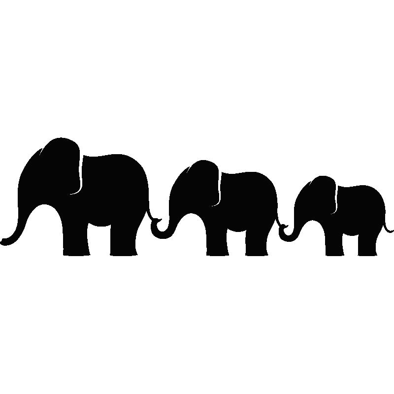 800x800 Set Of 12 Elephants Illustrations. Vector Art, Art Illustrations