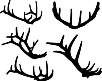 340x270 Elk Antlers Silhouette