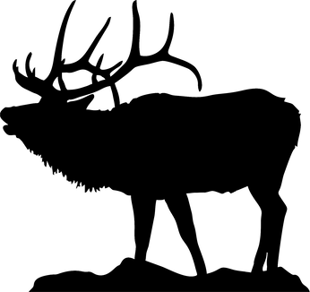 346x326 About Velvet Life Vie De Velours