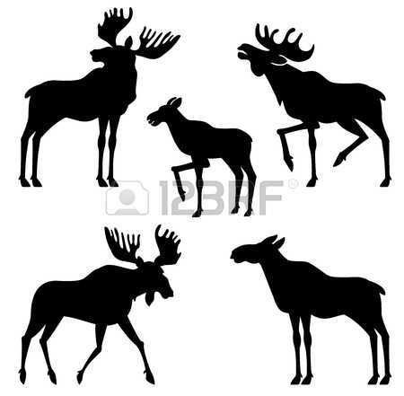 450x441 Elk Clipart Vector