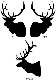 236x338 Bull Elk Silhouette Clip Art